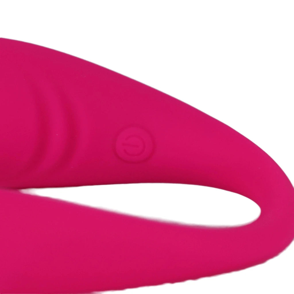 Bestuurbaar vibratie ei